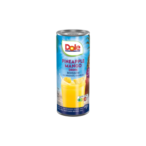 DOLE 100% PINEAPPLE MANGO JUICE